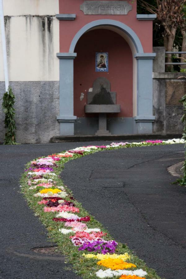 Antonella Home Funchal Екстериор снимка